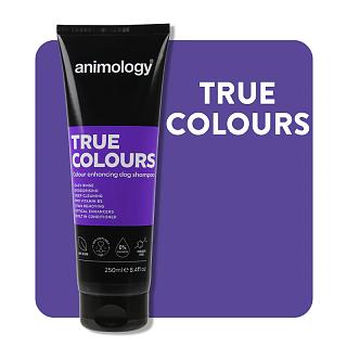 True Colours